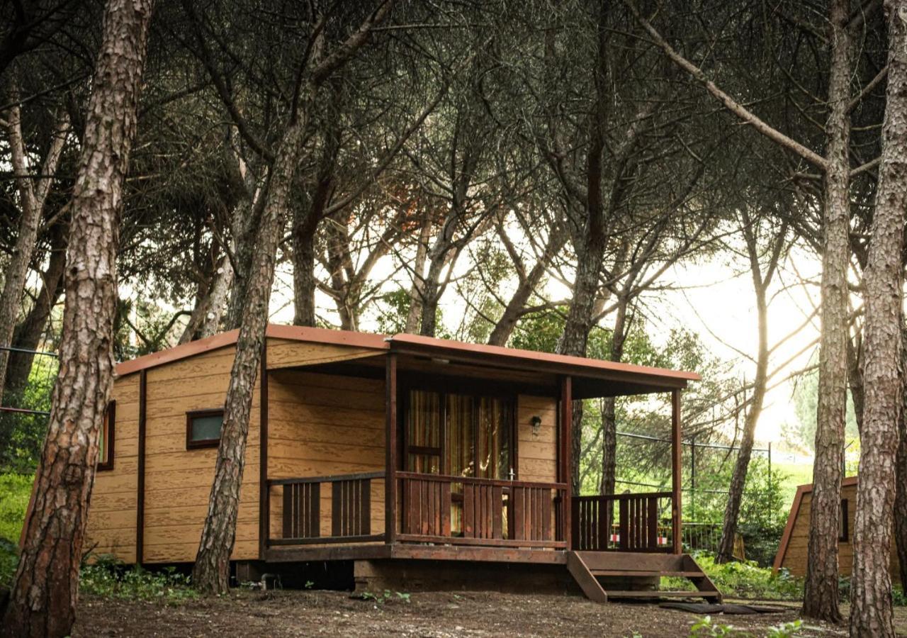 One-Bedroom Bungalow,1349732941:JPEG