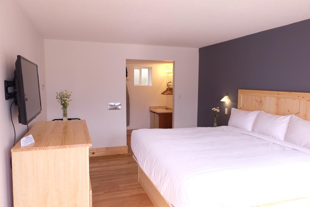 Executive Queen Suite