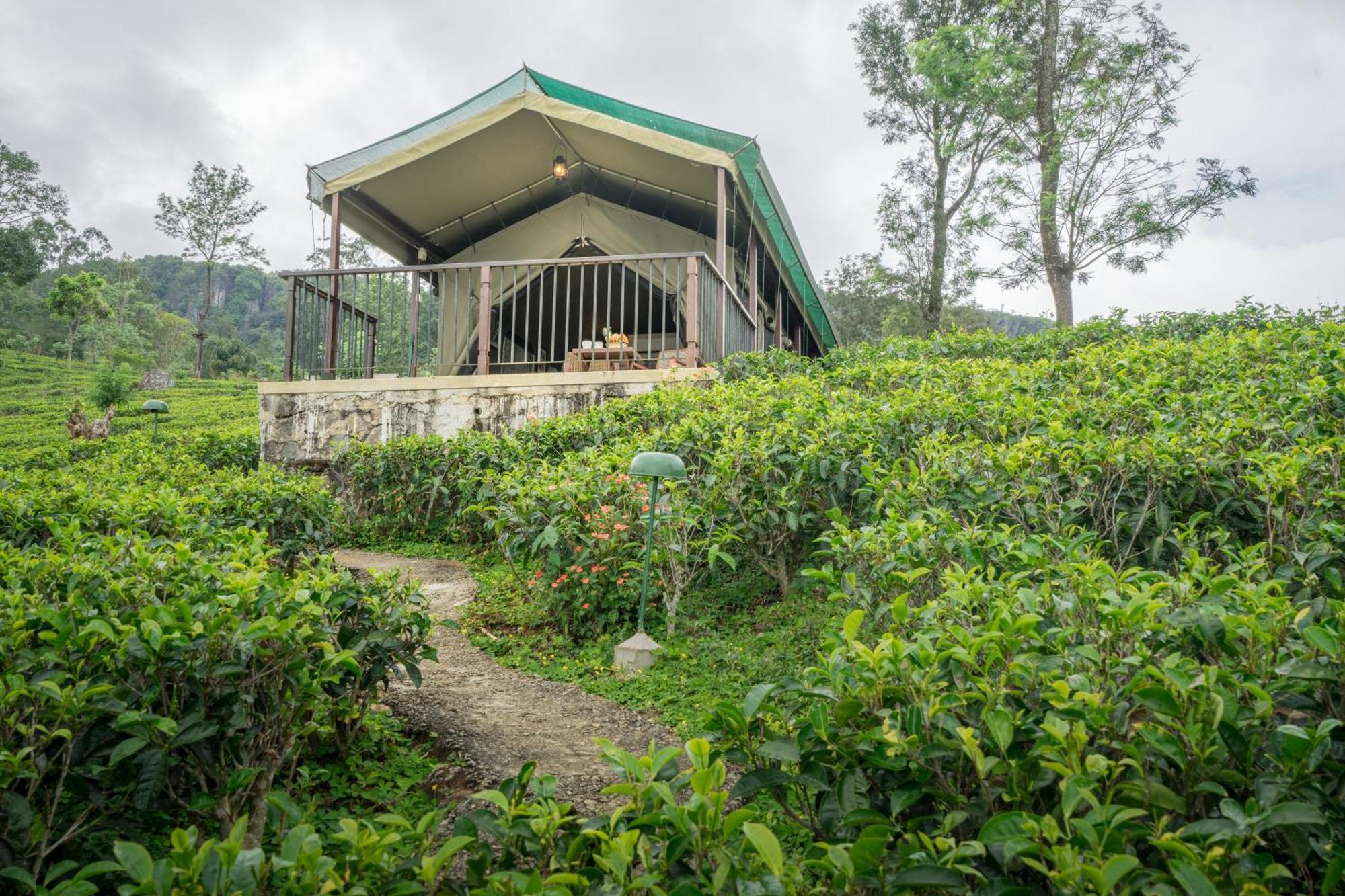 Deluxe Tent with Mountain view