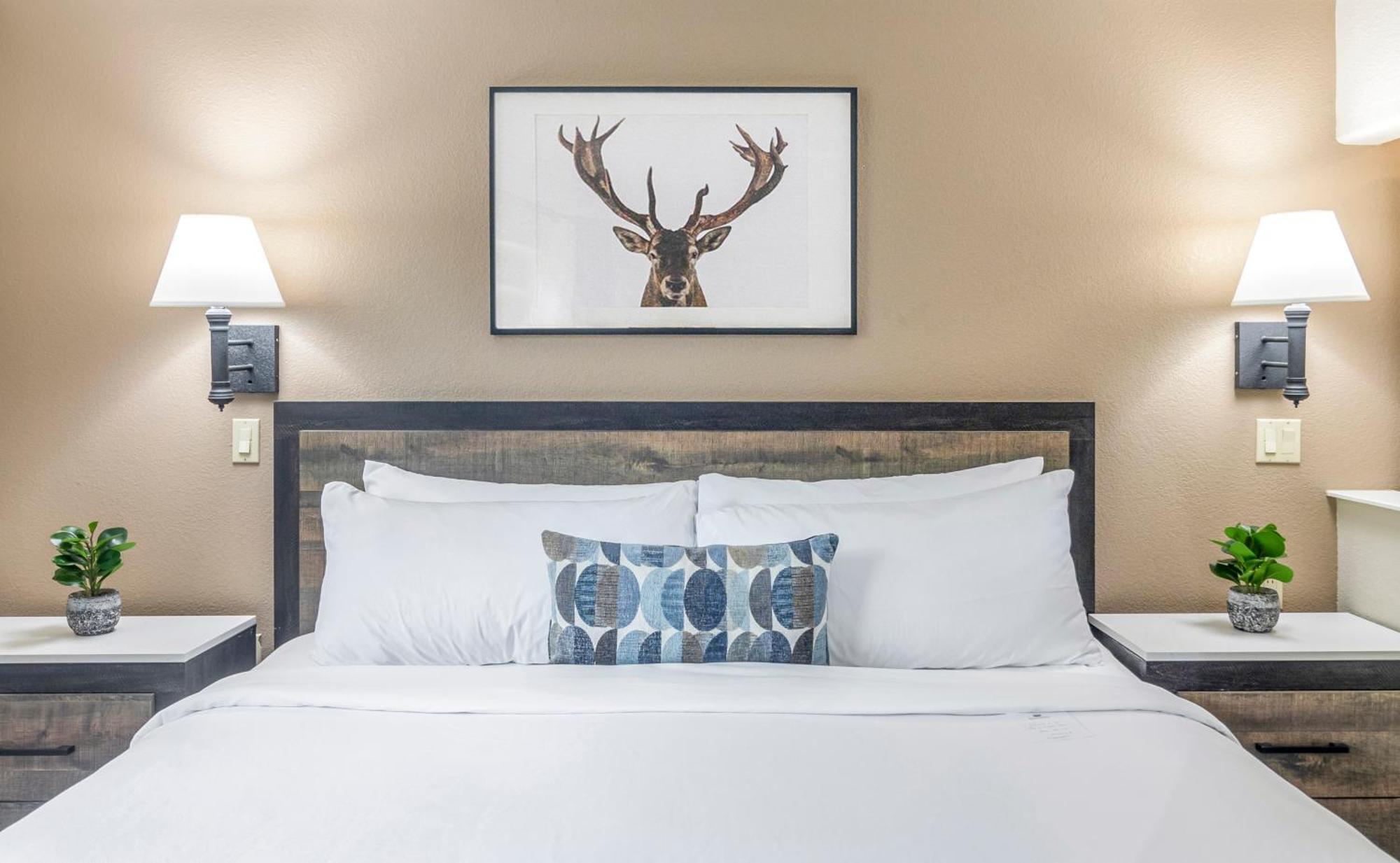 Junior Suite,1595428711:JPEG