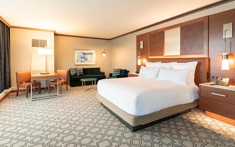 Deluxe King Suite