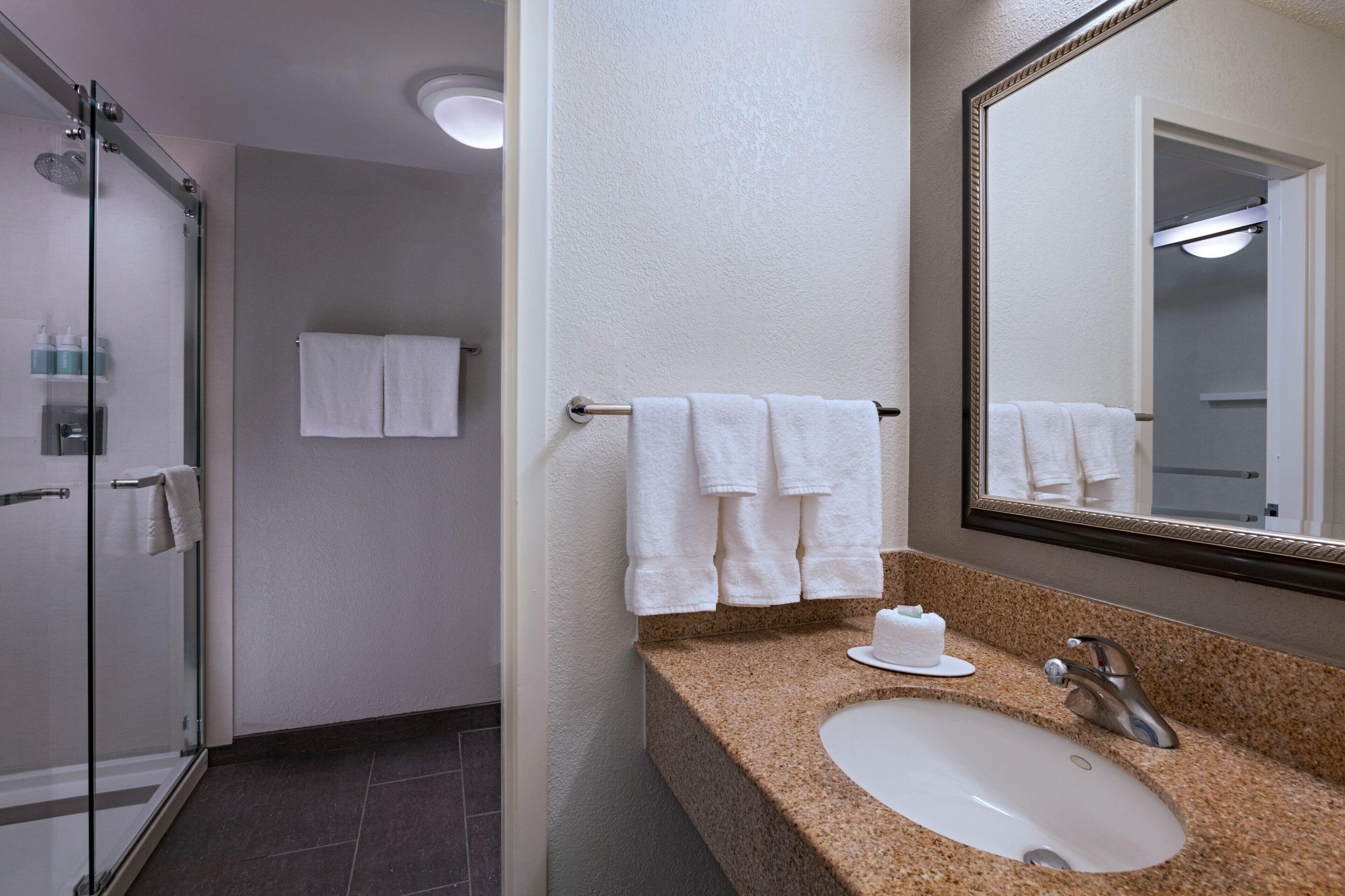 One-Bedroom King Suite
