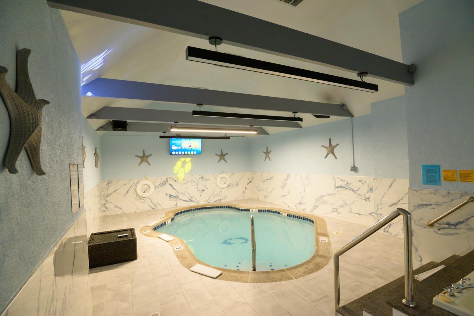 Presidential King Suite Private Pool Jacuzzi Fireplace,1758350099:JPEG