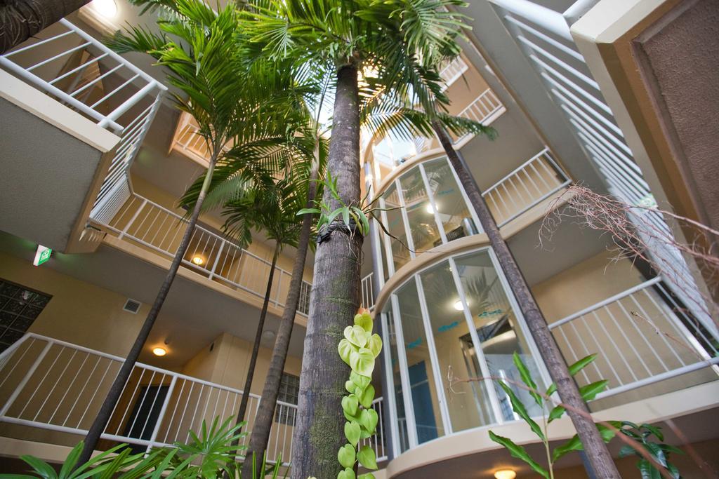 Apartamento de 1 dormitorio