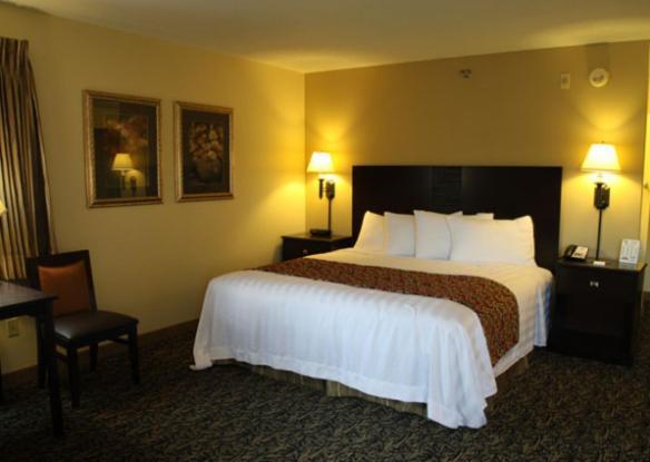 King Room,1584507229:JPEG