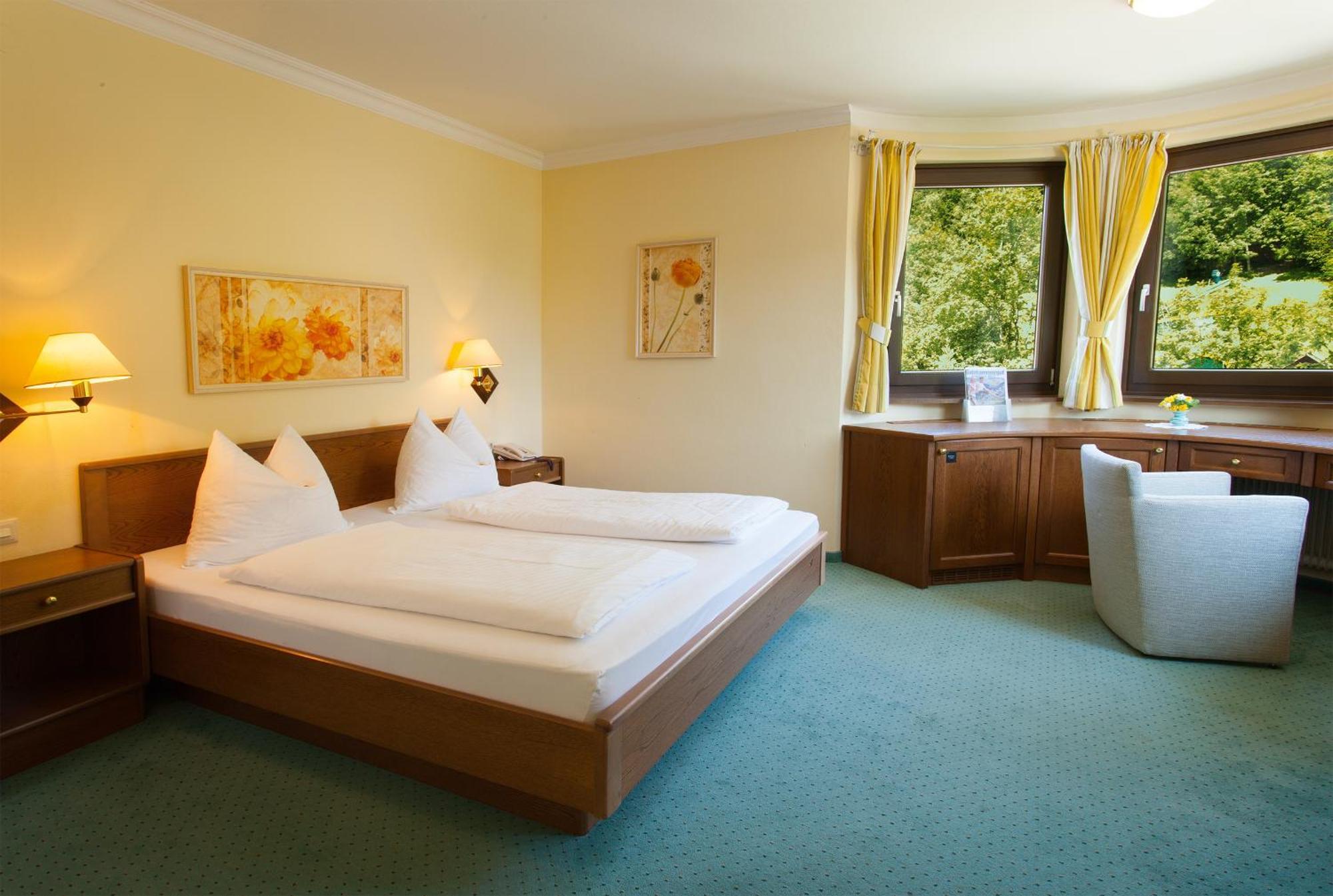 Double Room Mountain View