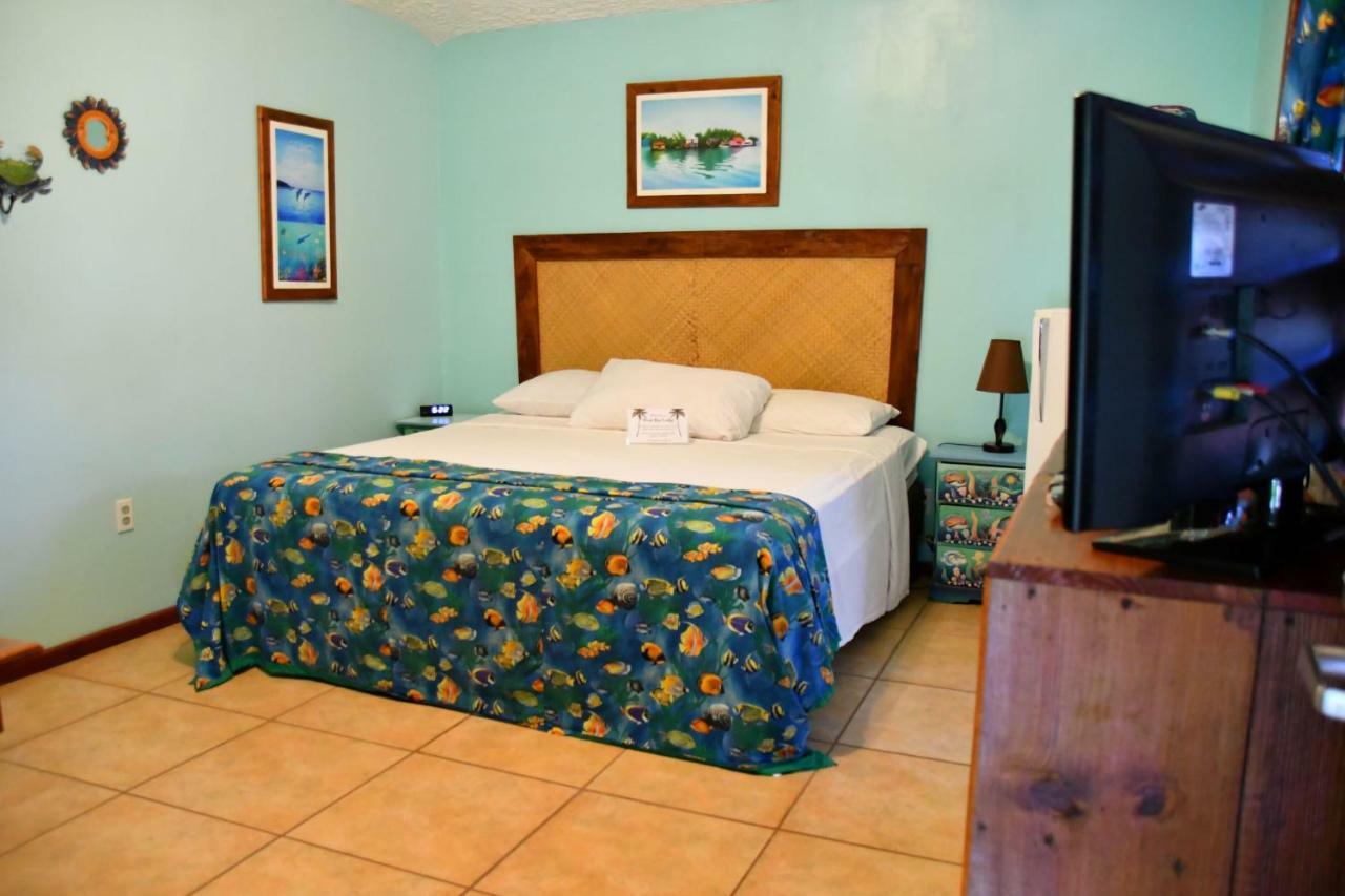 King Room,705051589:JPEG