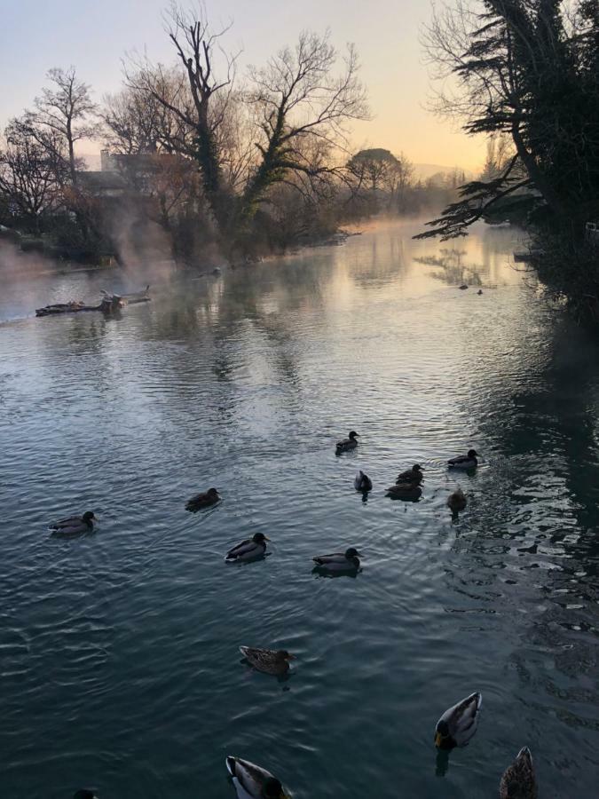 Superior Double Room River View,1773726555:JPEG