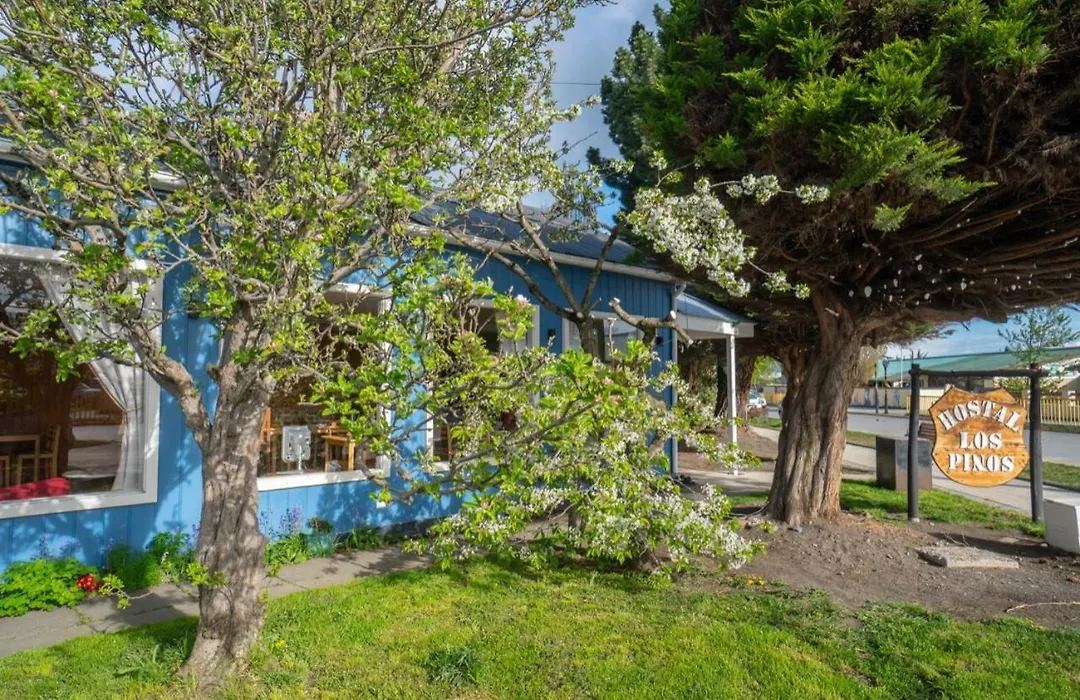 Hostal Los Pinos-1