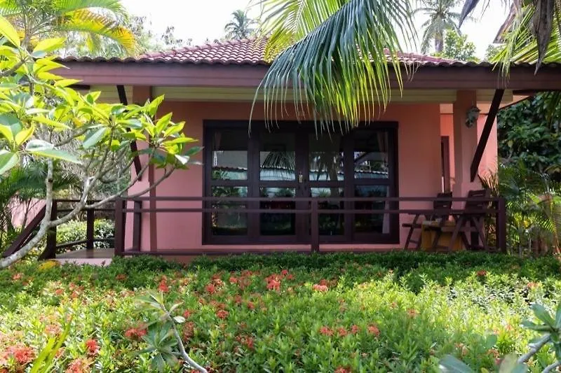The New Villa-1