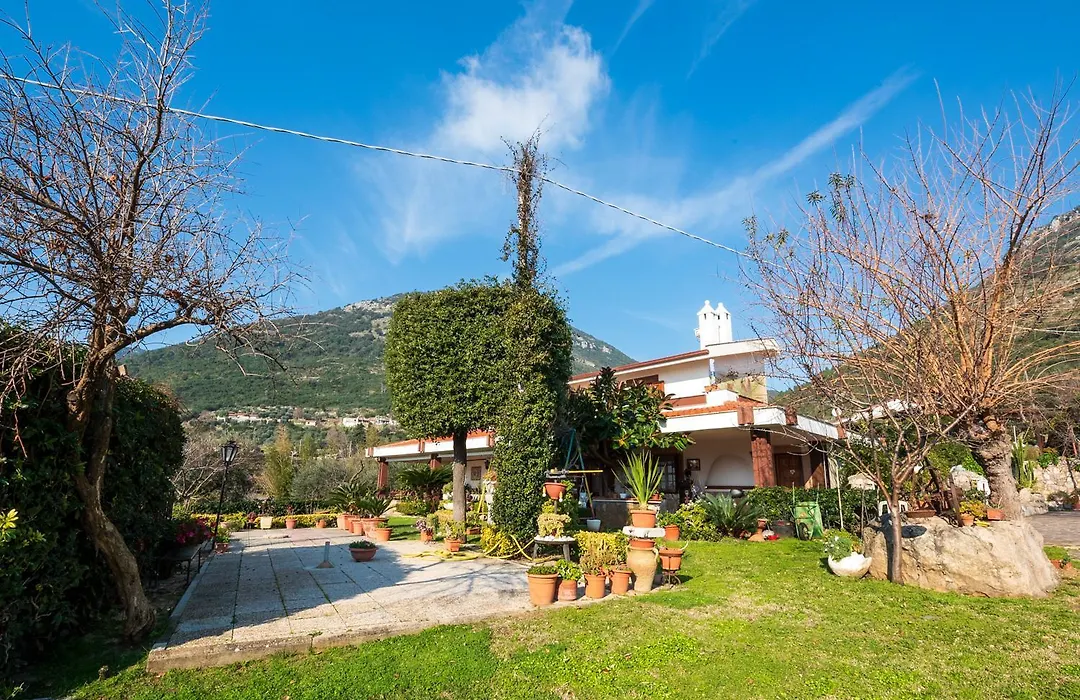 Villa Ida Bed&Breakfast-1