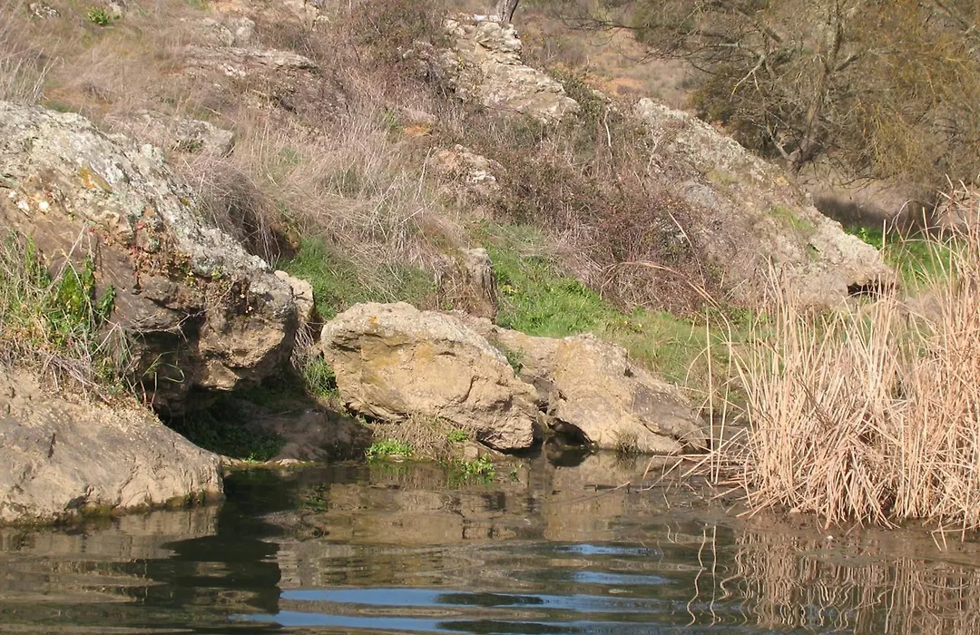 Herdade Do Rio Torto-1
