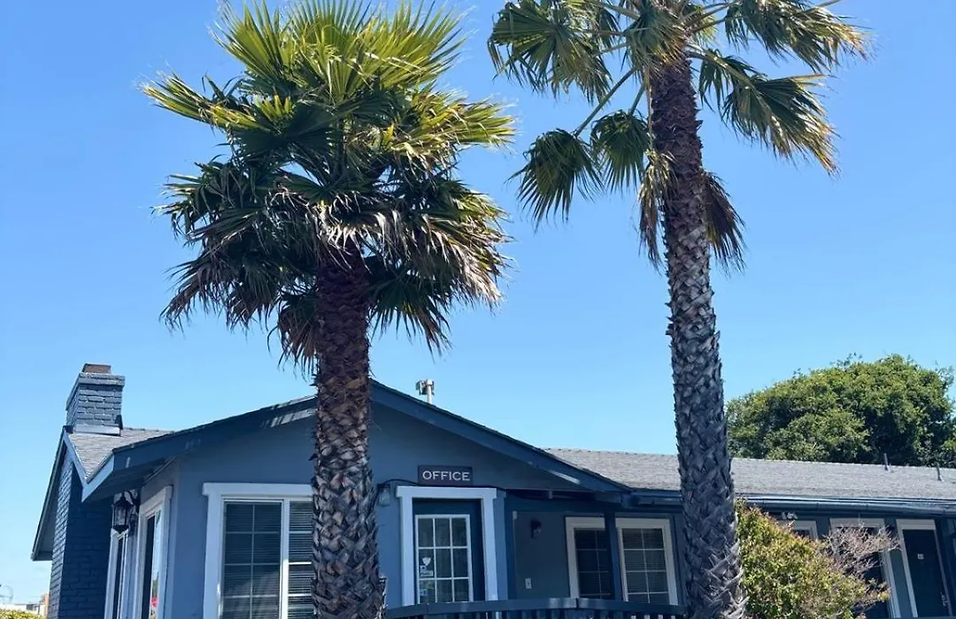 The Monterey Fireplace Inn-1