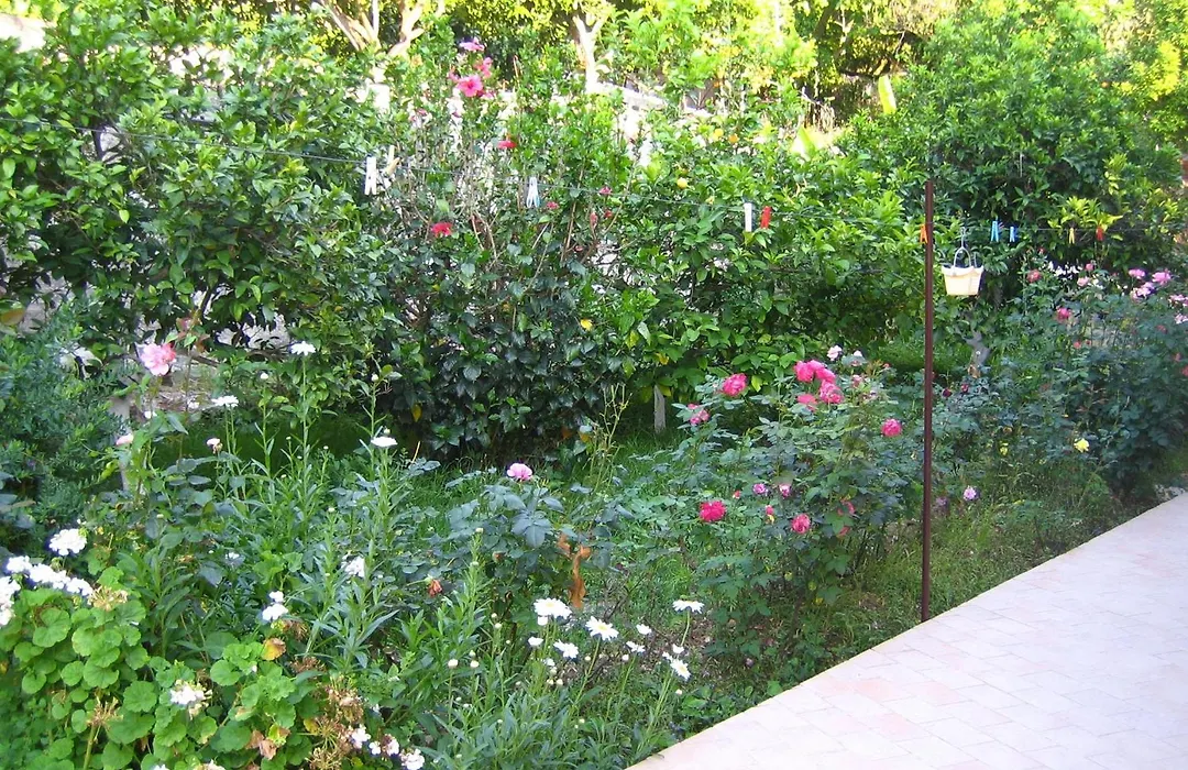 Pension Holidays-1
