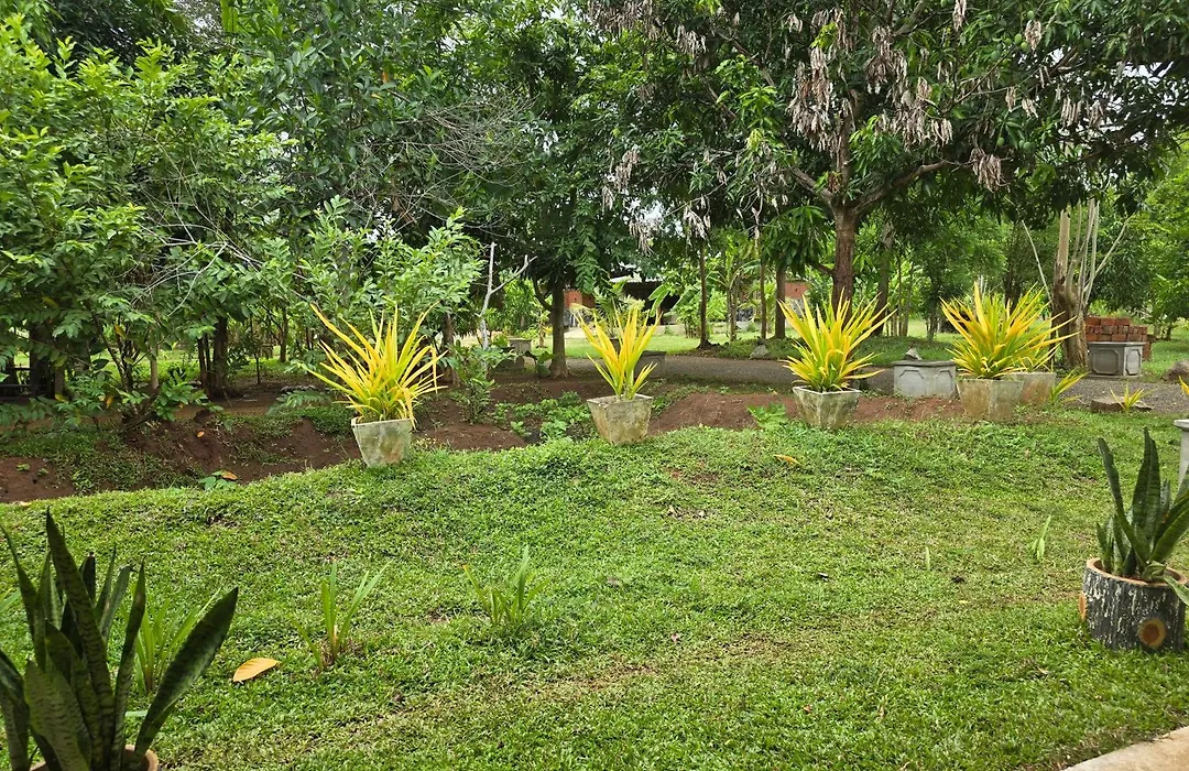 Ceylon Resort Wilpattu-1
