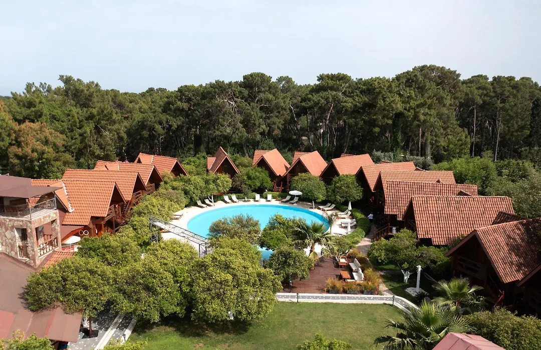 Woodline Hotel-1