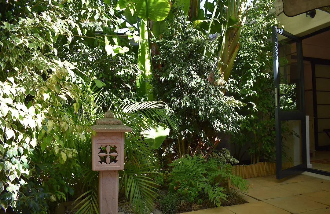 Paradiso Guesthouse & Self-Catering Cottage-1