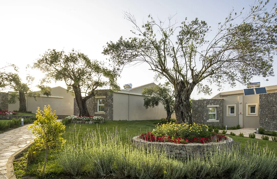 Art Hotel Debono (Adults Only)-1
