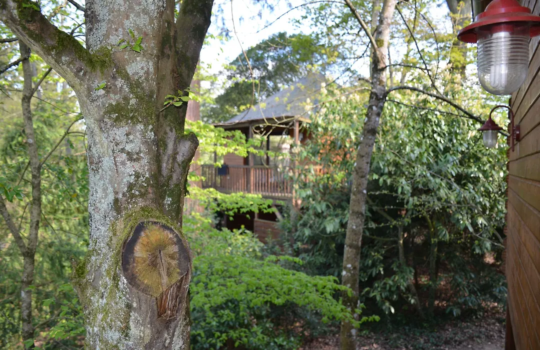 Manoir Du Parc (Adults Only)-1