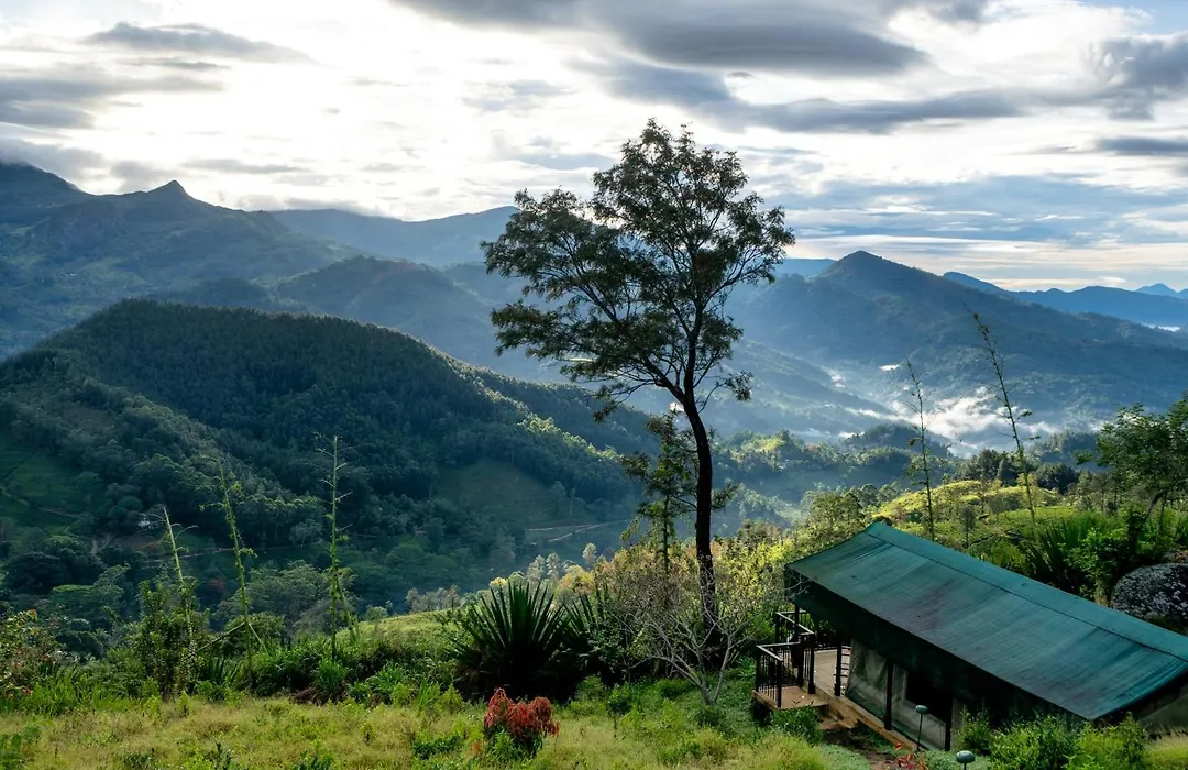 Madulkelle Tea And Eco Lodge-1