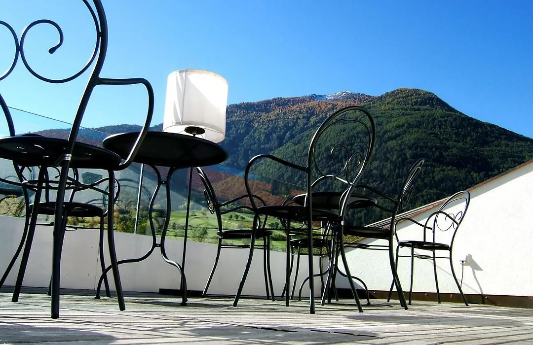 Hotel Gasthof Grüner Baum-1