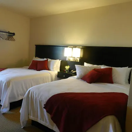 Black Gold Suites-2