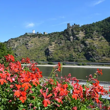 Perle am Rhein-2