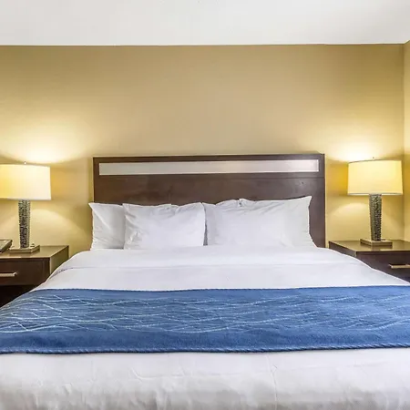 Comfort Inn Independence - Cleveland-3