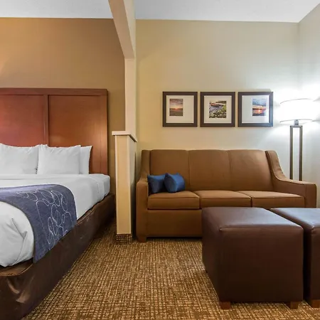 Comfort Suites Rochester Henrietta University Area-2