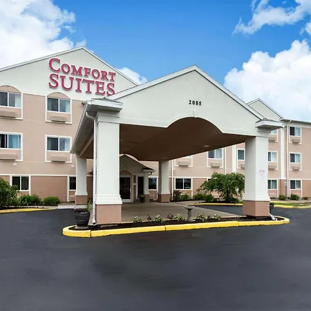Comfort Suites Rochester Henrietta University Area-3