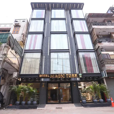 Hotel The Magic Tree - Paharganj New Delhi-2