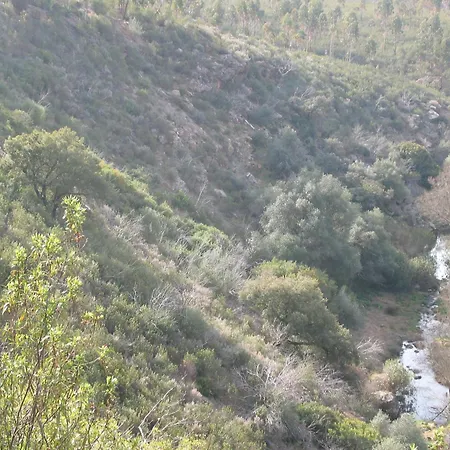 Herdade Do Rio Torto-2
