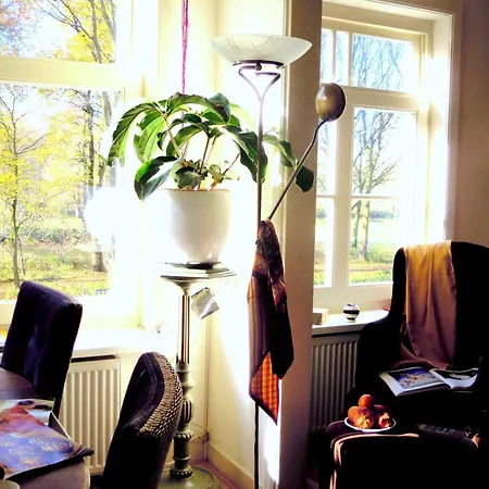 Missortelia B&B-2