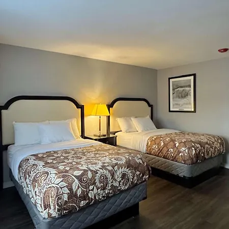 Big Bird Inn Wawa, Surestay Collection By Best Western-3