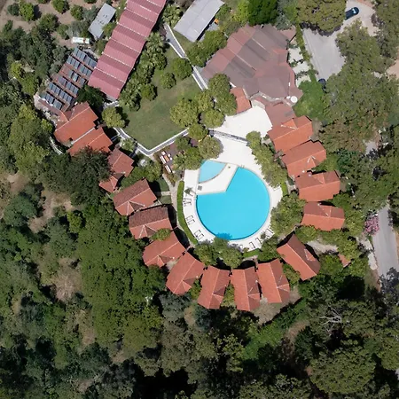Woodline Hotel-3