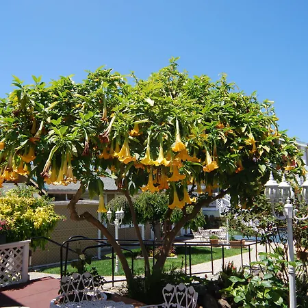 Rose Garden Inn-2