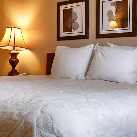 Silver Fox Inn-2