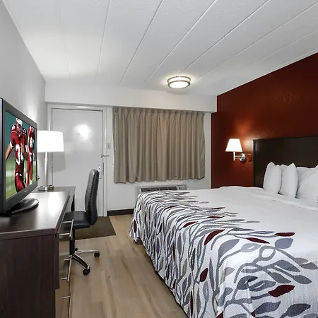 Red Roof Inn Cleveland - Medina-2