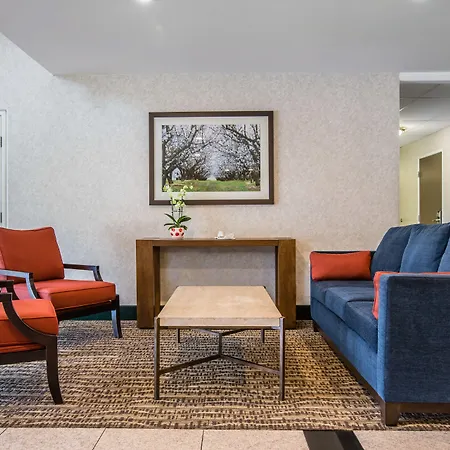 Comfort Suites Victorville-Hesperia-3