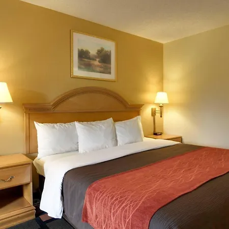 Quality Inn & Suites Malvern-3
