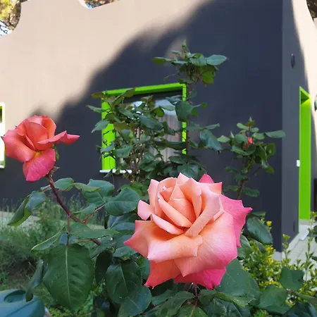 Villaggio Mithos-2