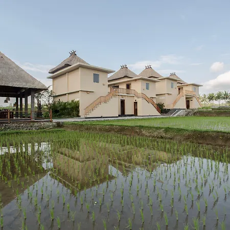 Manyi Village Ubud-3