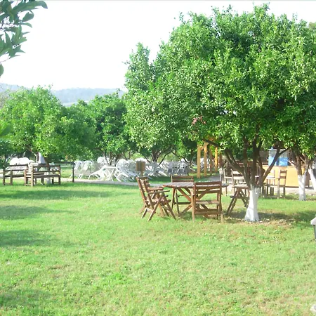 Woodline Hotel-2