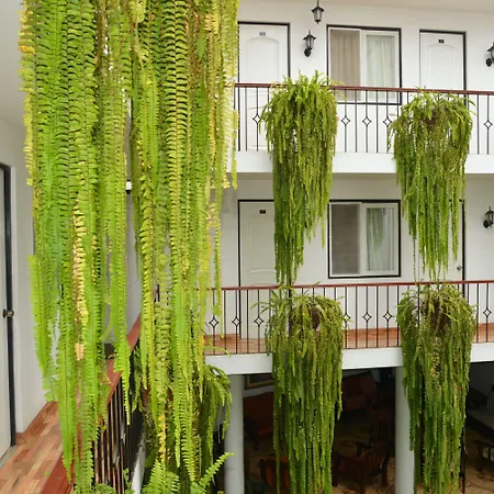 Residencial Carlos-2