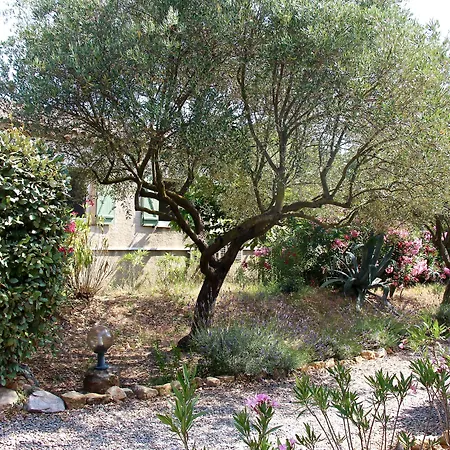 Hotel Les Oliviers-2