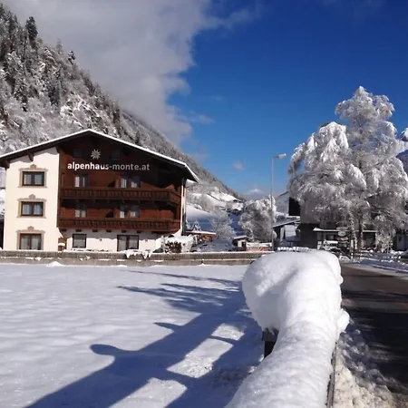Alpenhaus Monte-3