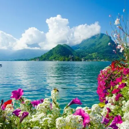 Ace Hotel Annecy-3