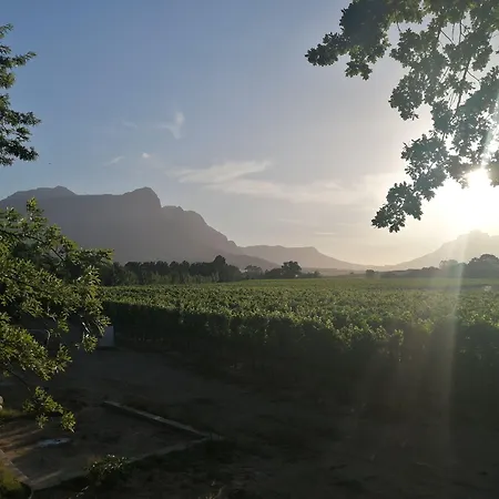 Lynx Wine Estate-3