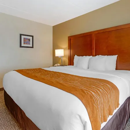 Comfort Inn & Suites Wilkes Barre - Arena-3