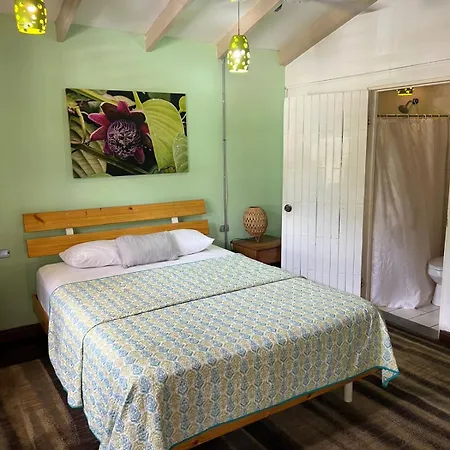 Hotel M&M Beach House-3